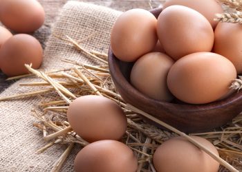 Top 10 curiozități despre ouă și beneficiile acestora